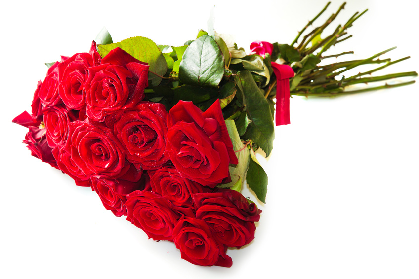 Significance of Red Roses in Life